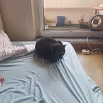Kevin Fleischer - @fleischer.kevin - Instagram