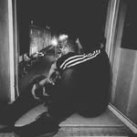 kevin Fleischer - @kfleischer917 - Instagram