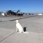 Kevin Fleischer - @kevfleischer - Instagram