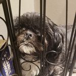 Kevin Fleury - @goawaywoodu - Instagram