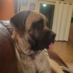 Kevin Floss - @flosskevin - Instagram