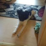 Kevin Floßmann - @kevinflossmann - Instagram