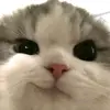 kevin - @kevinfolan - TikTok