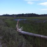 Kevin folger - @kevinfolger76 - Instagram