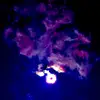 kevinfordham830 - @kevinfordham830 - TikTok