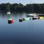 Kevin Freeley - @kevinfreeley - Instagram