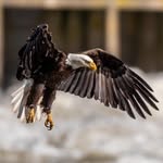 Kevin Freer - @kevinfreerphotography - Instagram