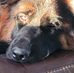 Kevin Freestone - Facebook