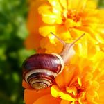 Kevin friedel - @kevin_friedel - Instagram
