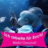 Kevin Friedl - @kevinfriedl - TikTok