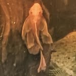 Kevin Funnell - @kevfunn - Instagram