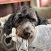 Kevin Funnell - Facebook
