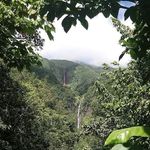 Kevin Gadebois - @kevingadebois - Instagram