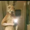 Kevin Galindo - @kevin.galindo491 - TikTok