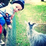 Kevin Gent Shkambi - @kevingentshkambi - Instagram
