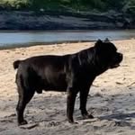 Kevin Ginn - @kevin.ginn.5602 - Instagram