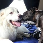 Kevin Gittens - @gittenskevin - Instagram