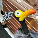 @kevin_going_places - Instagram