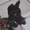 kevingoingwild - @kevingoingmad - TikTok