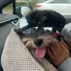 kevinisgoingperry - @kevingoingtocollege - TikTok