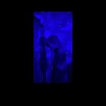 Kevin Grabowski - @kevingrabowski20 - Instagram