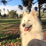 Kevin Grasset - @kevingrasset_ - Instagram