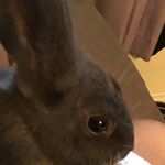 Kevin Cavina Greig - @kevincavinagreig - Instagram