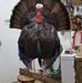 Kevin Grein - Facebook