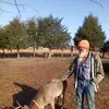 Kevin Gresham - @kevin.gresham1 - TikTok
