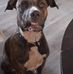 Kevin Griggs - Facebook