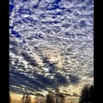 kevin - @kevin_griggs - Instagram