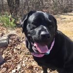 Kevin Lori Grillo - @lorilee1474 - Instagram