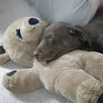 Kevin Grindler - @kevingrindler - Instagram