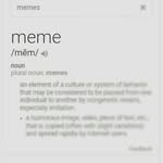 Kevin Grinstead - @kevins_the_meme - Instagram