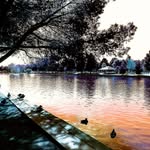 Kevin Groseclose - @kevingroseclose - Instagram