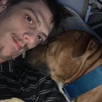 Sloth - @guisekevin90 - Instagram