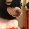 Kevin Guiterrrezpalma - @kevin.guiterrrezp - TikTok