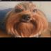 Gavin Hallowell - Facebook