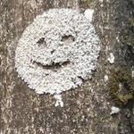 Kevin Halpin - @halpin_kevin - Instagram