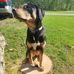 Kevin Harnish - Facebook