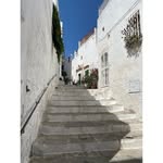 Kevin Harnish - @rerzaafrien - Instagram