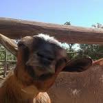 Kevin Hassel - @kevinhasssel - Instagram