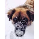 Kevin Hedstrom - @kdog221 - Instagram