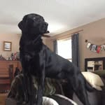 Kevin Heise - @kheise99 - Instagram
