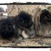 Kevin Hepler - Facebook