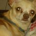 Kevin Hillhouse - Facebook