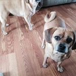 Kevin Hine - @hine.kevin - Instagram