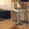 Kevin Hine - @kevin.hine0 - TikTok