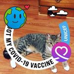 Kevin Hipps - @kevin.hipps - Instagram