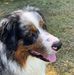 Kevin Hoff - Facebook